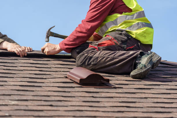 Best Roof Gutter Cleaning  in Russellville, AR