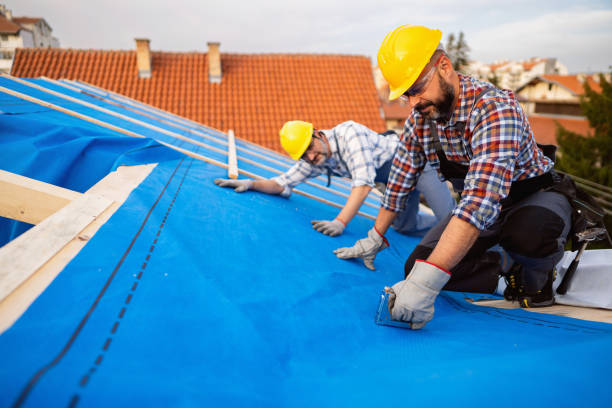 Best Metal Roofing Contractor  in Russellville, AR